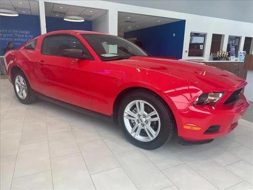 2010 Ford Mustang Base