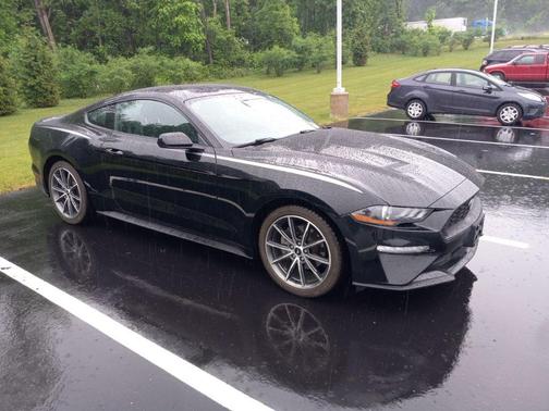 Shadow Black 2019 Ford Mustang EcoBoost