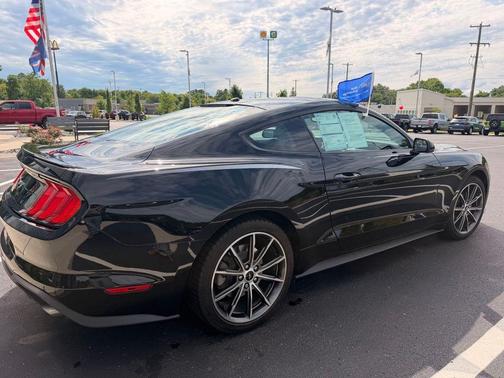 Shadow Black 2019 Ford Mustang EcoBoost