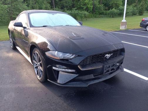Shadow Black 2019 Ford Mustang EcoBoost