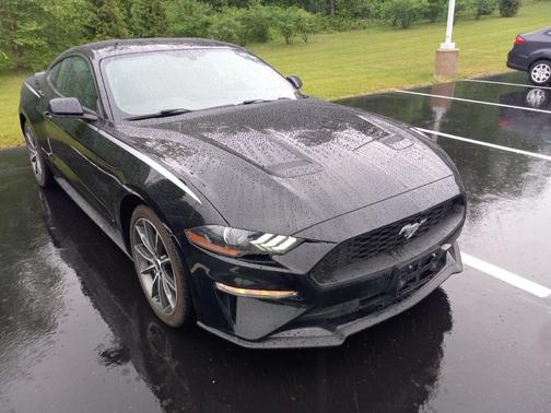 Shadow Black 2019 Ford Mustang EcoBoost
