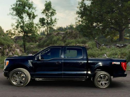 Agate Black Metallic 2023 Ford F-150 XLT
