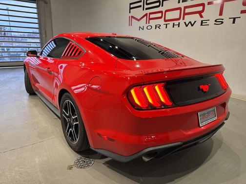 2019 Ford Mustang EcoBoost