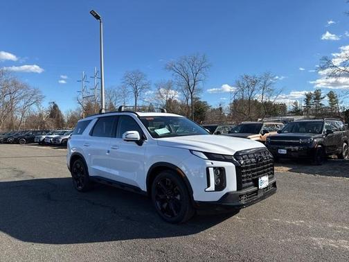 2025 Hyundai PALISADE XRT