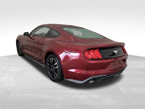 Red 2019 Ford Mustang EcoBoost