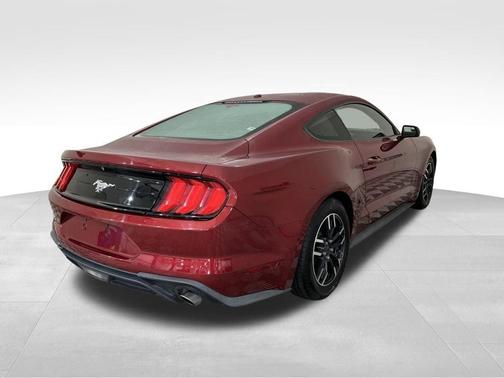 Red 2019 Ford Mustang EcoBoost