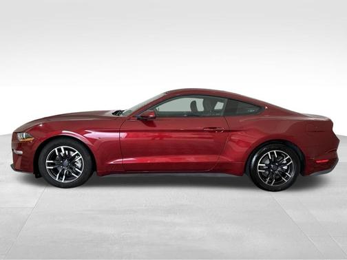 Red 2019 Ford Mustang EcoBoost