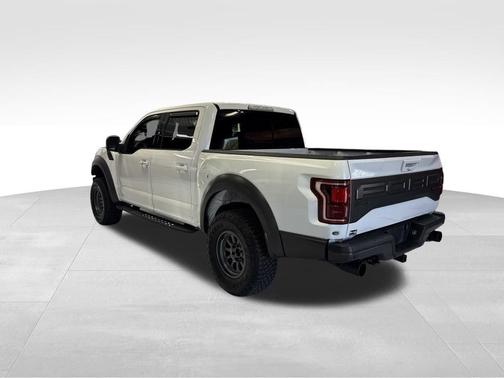 White 2019 Ford F-150 Raptor