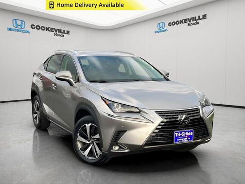Atomic S 2020 Lexus NX 300 Base