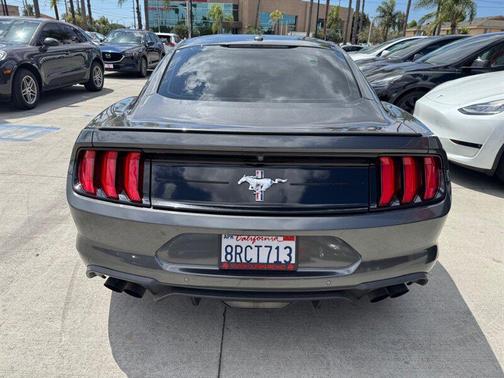 Magnetic Metallic 2019 Ford Mustang EcoBoost Premium