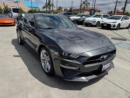 Magnetic Metallic 2019 Ford Mustang EcoBoost Premium