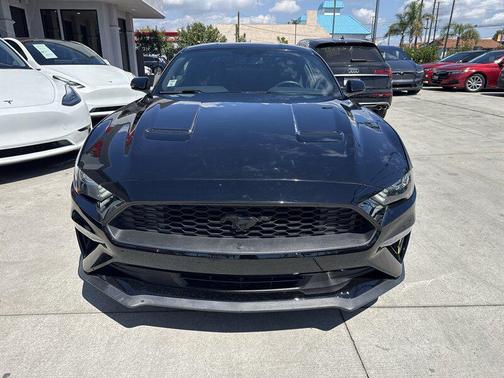 2019 Ford Mustang EcoBoost