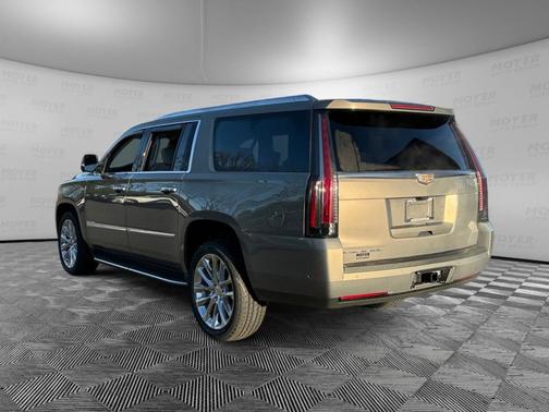 2019 Cadillac Escalade ESV Luxury