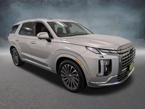 Typhoon Silver 2024 Hyundai PALISADE Calligraphy