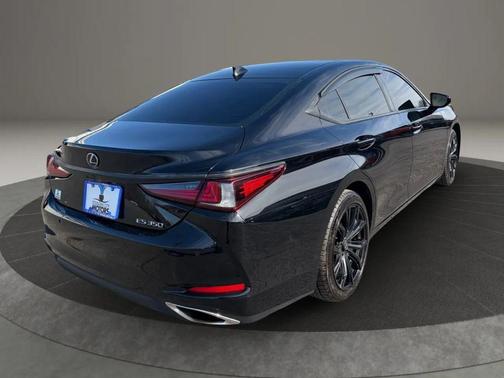 2019 Lexus ES 350 Luxury