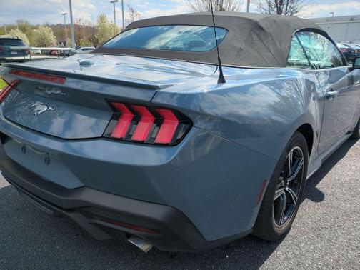 Vapor Blue Metallic 2024 Ford Mustang EcoBoost Premium