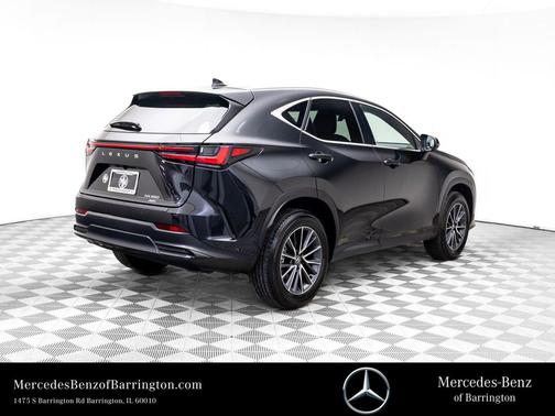 2025 Lexus NX 350 350 Base