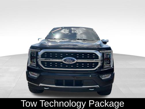Black 2021 Ford F-150 Platinum