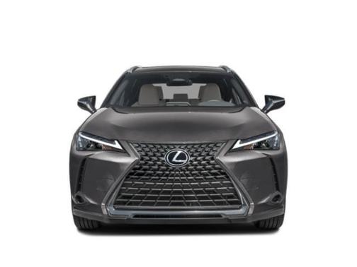 Redline 2025 Lexus UX 300h Base