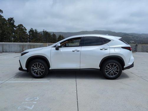 2024 Lexus NX 350 Premium