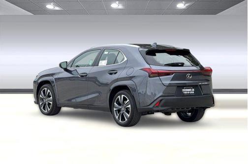 Cloudburst Gray 2026 Lexus UX 300h Premium