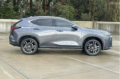 2025 Lexus NX 450h+ Luxury