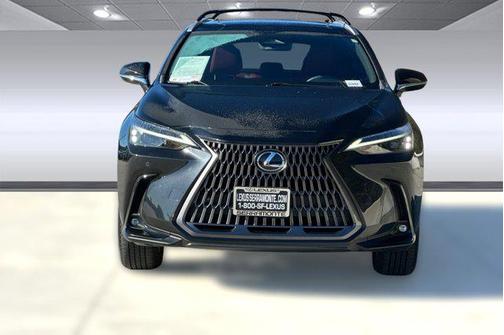 2024 Lexus NX 250 Premium