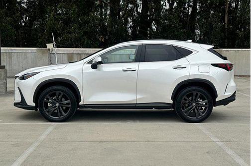 2025 Lexus NX 450h+ Luxury