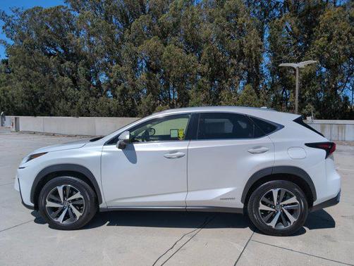 2019 Lexus NX 300h Base