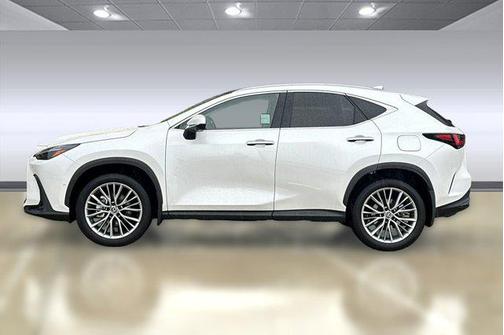 2025 Lexus NX 350h Luxury