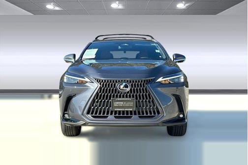 2025 Lexus NX 350h Premium