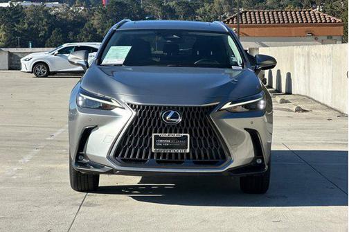 2024 Lexus NX 250 Premium