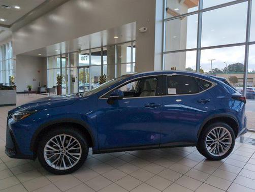 2025 Lexus NX 350h Luxury