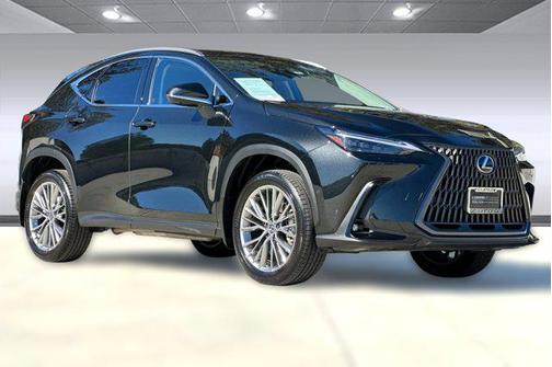 2025 Lexus NX 350h Luxury