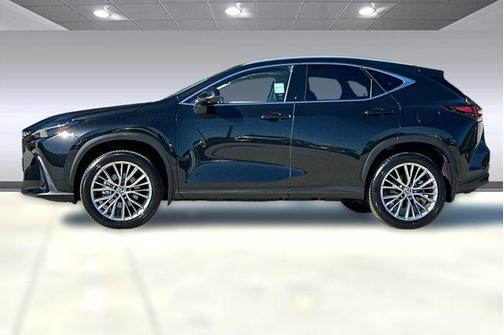 2025 Lexus NX 350h Luxury