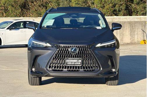 2025 Lexus NX 450h+ Luxury