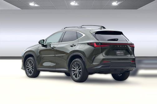 Nori Green Pearl 2024 Lexus NX 350 Premium