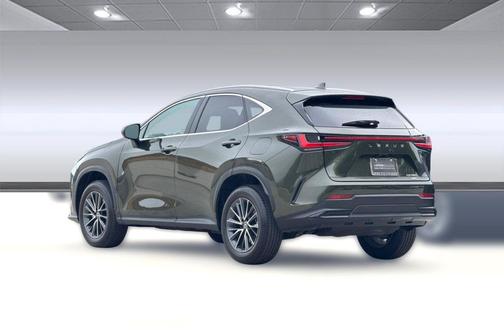Nori Green Pearl 2023 Lexus NX 350 Premium