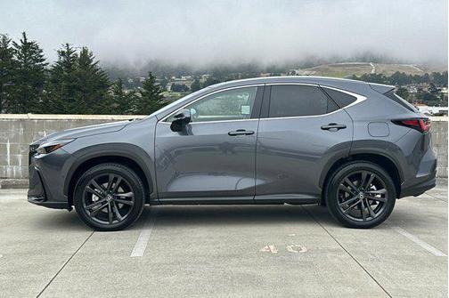 2025 Lexus NX 450h+ Luxury