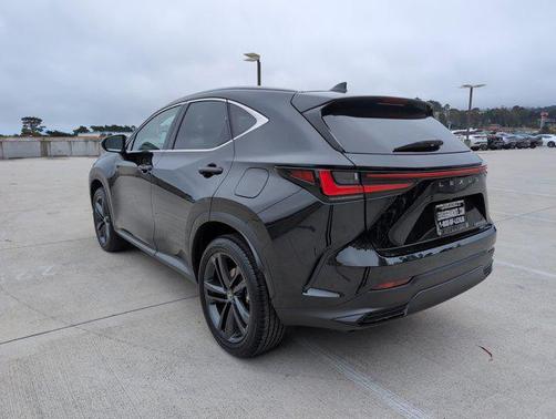2025 Lexus NX 450h+ Luxury