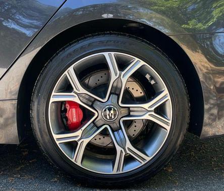 Panthera Metal 2019 Kia Stinger GT