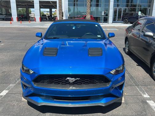 Velocity Blue 2019 Ford Mustang EcoBoost