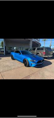 Velocity Blue 2019 Ford Mustang EcoBoost