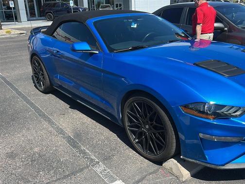 Velocity Blue 2019 Ford Mustang EcoBoost