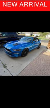 Velocity Blue 2019 Ford Mustang EcoBoost