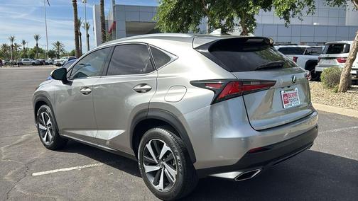 Nebula Gray Pearl 2020 Lexus NX 300 Base