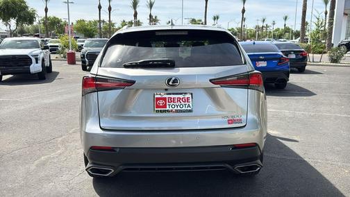 Nebula Gray Pearl 2020 Lexus NX 300 Base
