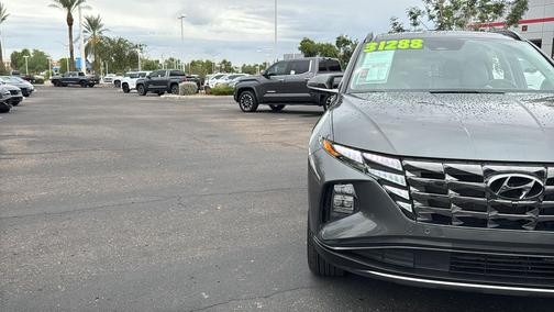 Amazon Gray 2024 Hyundai TUCSON Hybrid Limited