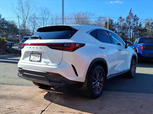 2024 Lexus NX 350 