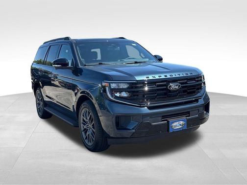 Stone 2026 Ford Expedition Platinum